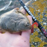 Gerard Doran – Flounder (1)