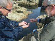At the hands of an expert a lot can be learnt in two days