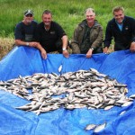 Kelvyn, Brian, Jan and Dave with their catch of silvers