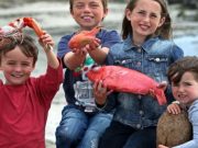 Exotic Porcupine Bank catch nets second coconut – The Irish Times