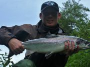 Jason adapts methods for continued sport with Salmon on the Bandon