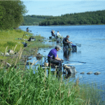 Killeshandra Course Angling Festival