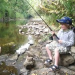 Leitrim Observer – Iarfhlaith with his first perch