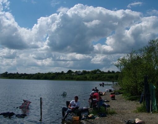 Ireland’s FeederKing – Qualifier 1 results