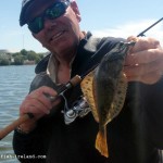 Lurefish Ireland – Flounder (2)