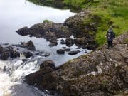 Irish Angling Update, 29/08/13 Salmon fishing on the Erriff