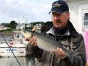 Great potential for saltwater flyfishing in Killala Bay Rudy v Duijnhoven with his fly caught Mullet from Killala Bay
