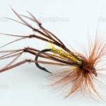 Sheelin -A Sheelin sedge