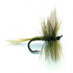 Sheelin – Blue winged Olive