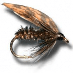 Sheelin – The Alder Fly imitation