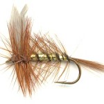 Sheelin – Wickham’s Fancy