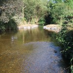 Sheelin – Work in the Mountnugent River (2)