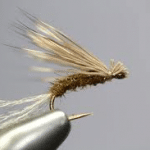 Sheelin – X- Caddis Emerger
