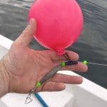 Balloon to suspend the mackerel flapper hook-bait