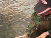 Sea trout on the fly Holding the fish, head into the current before release.