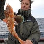 Tub-Gurnard