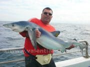Ths Sioux lands the blues in Valentia A fine Blue