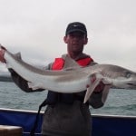Paddy Keogh with one of his 9 Tope caught recently on-board LISIN.