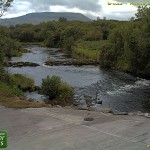 drowes200813