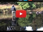 Low water tactics for salmon on the Lee