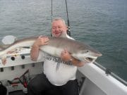 Good tope fishing at Greenore recently Another shot of Cecils big tope