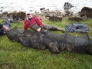 Incredible 143lb bag from Templehouse Lake at the Ballymote Festival Overall winner Darren Greaney displays his catch from day two (143lbs 06 oz.)