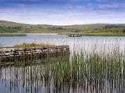 A few salmon and sea trout at Burrishoole but fishing "poor" Burrishoole