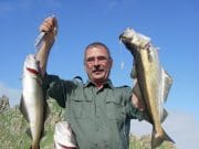 Belgian anglers enjoy some good sea fishing from Valentia Island Pollack