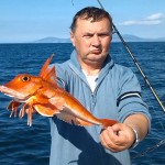 23 sep gurnard