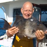 Triggerfish
