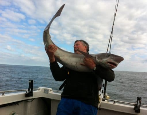 70lb tope