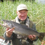Ennell trout