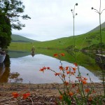 Delphi – Delphi Fishery