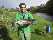 Cracking fish caught on the Munster Blackwater at Fort William Fort William - September salmon