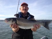 Little fighters – small bass on weak tides A really nice bass for Mike D.