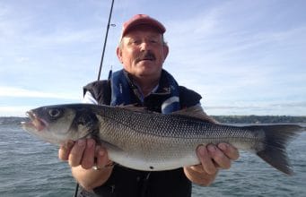Little fighters – small bass on weak tides A really nice bass for Mike D.