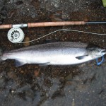 Billy Downes 11 lb fish from Beat 3
