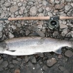Michael Burke Best fish of the week 12.5 lbs at Johnston's