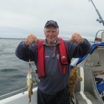 Les's wrasse