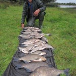 Alain with some lovely Bream and Roach.