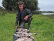 Good catches of Bream, Hybrids and Roach for Belgium anglers at Melview Alain with some lovely Bream and Roach.