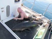No sharks…then two together for specimen hunters Drew and Zibi