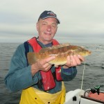 Ralph's wrasse