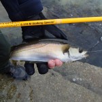 Rookie Bass Angler – Sept (1)