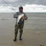 Sean Jordan – French anglers (1)