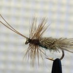 Sheelin – Sedge