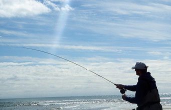 Irish Angling Update – 19/09/2013 Photo compliment of South East Angling Services - Gerard Doran