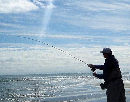 Irish Angling Update – 19/09/2013 Photo compliment of South East Angling Services - Gerard Doran