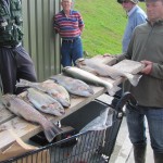 Waterford Fly Fishing – Dick Doyle Competition (2)