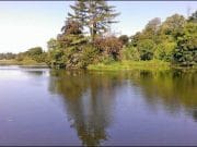 Carton House Fishery reports browns on Daddys and rainbows feeding well The lower end of the Rye Lake pictured yesterday.
